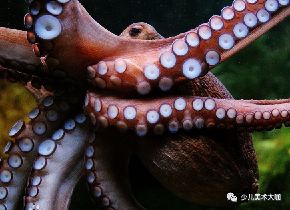 创意美术简单易学,创意美术幼儿