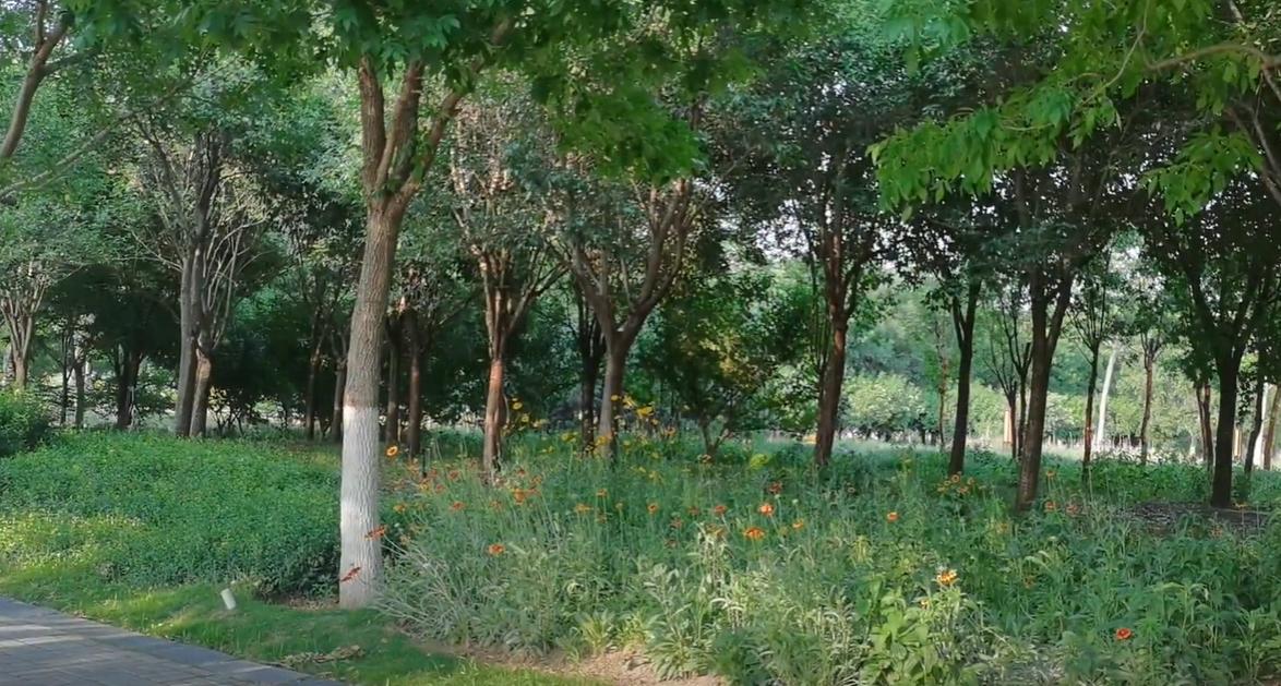 郑州出发暑假东北三省自驾游攻略,郑州出发山西自驾游线路推荐五天