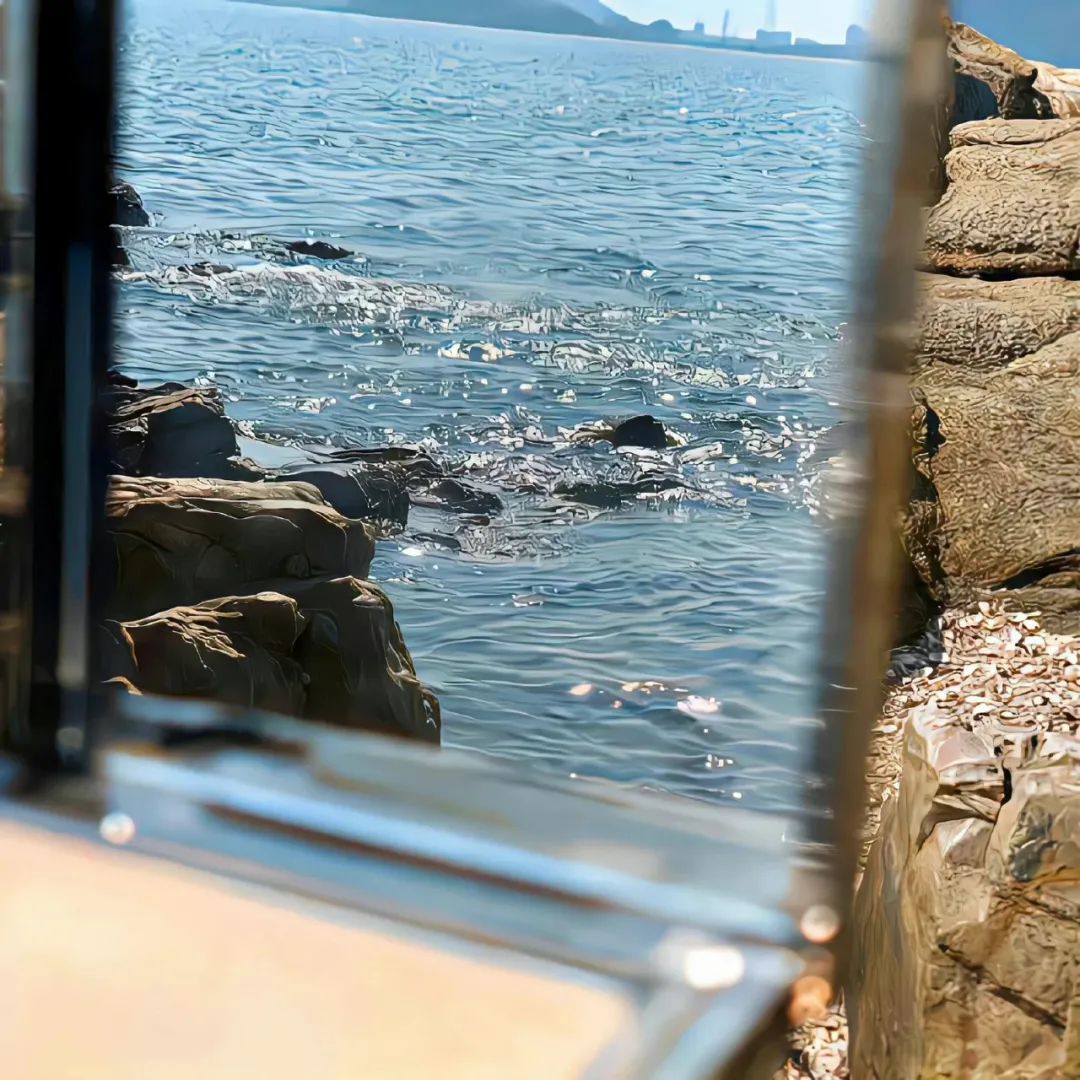 春日氛围感头像带背景图,春日已至头像图片