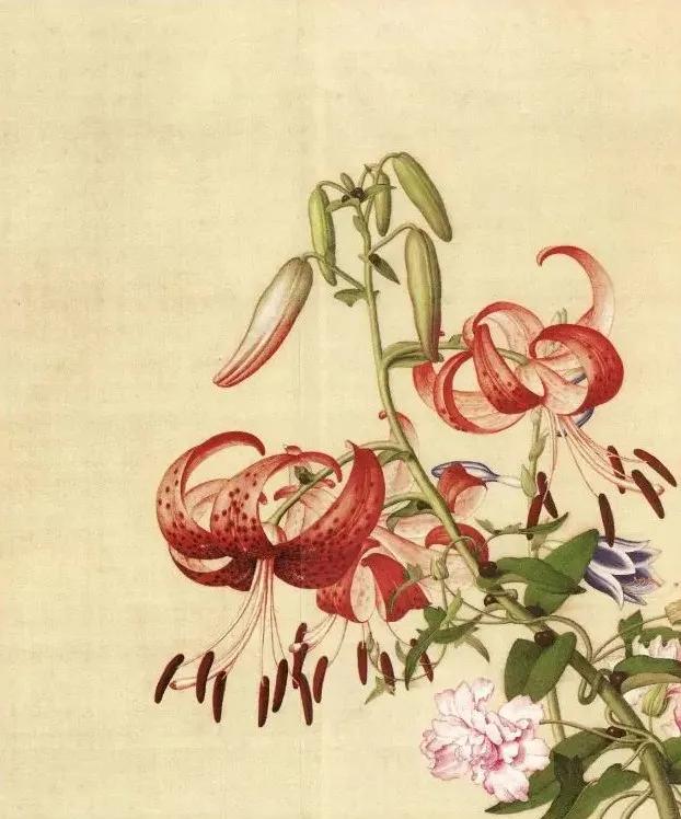 清代九大名家花鸟册页欣赏,清朝九大名家花鸟山水图