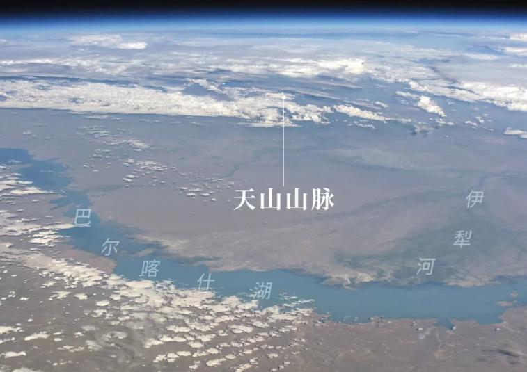 金帐汗国和白帐汗国什么关系,一文看懂西夏王朝