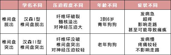 狗狗颈椎椎间盘突出导致前肢瘫痪,狗狗颈椎骨质增生压迫神经怎么办