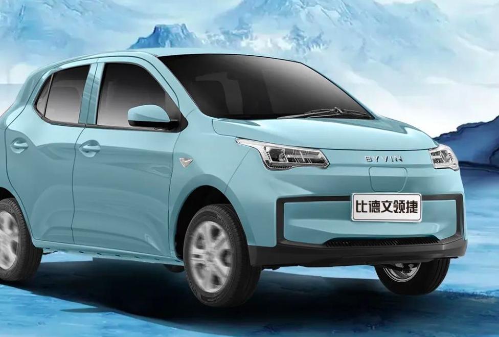 丽驰和金彭车哪个好,雷丁丽驰金彭哪一款好