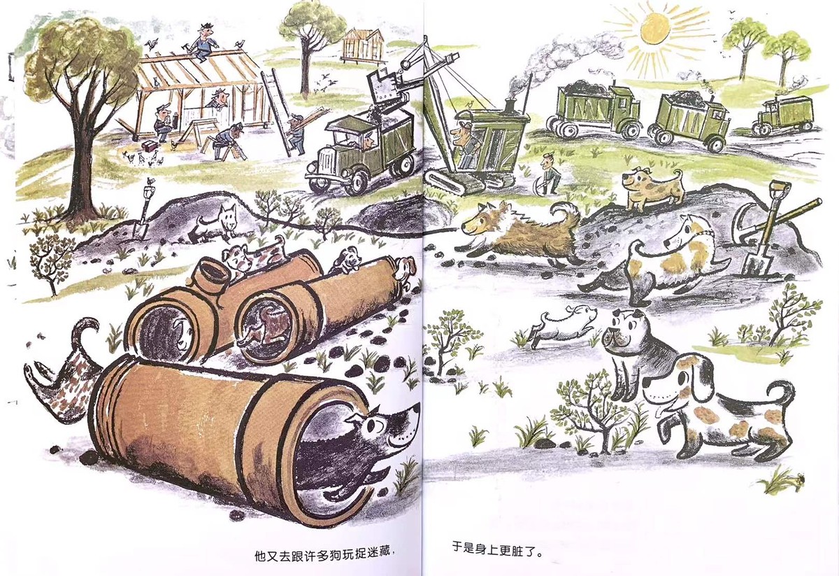 儿童绘本不爱洗澡的小猪,如果不洗澡儿童绘本