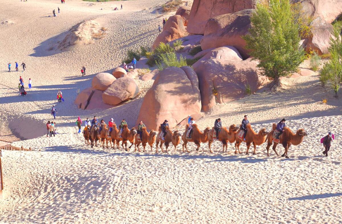 内蒙古玉龙沙湖旅游,玉龙沙湖旅游有感