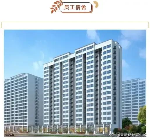 格力临沂招聘是内部招聘吗,临沂保税区格力最新招聘