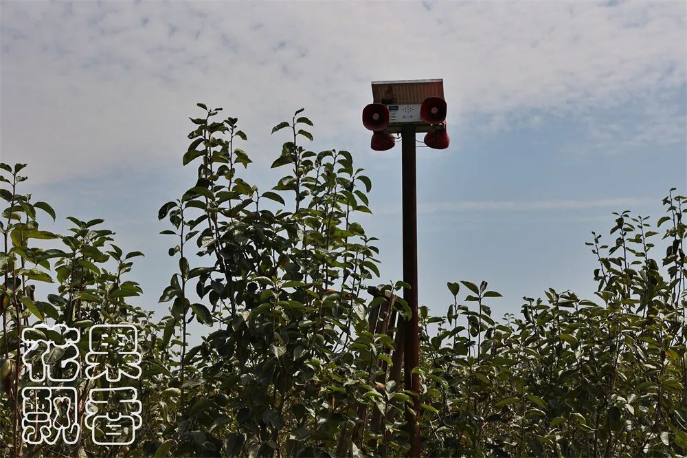 老农告诉大家农作物种植,农资人对农户的忠告