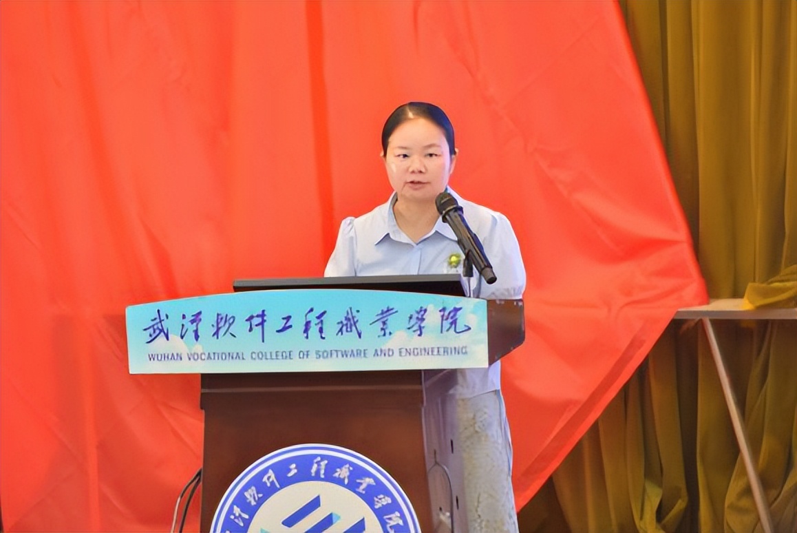 武汉表彰大会,武汉软件工程职业学院优秀学子