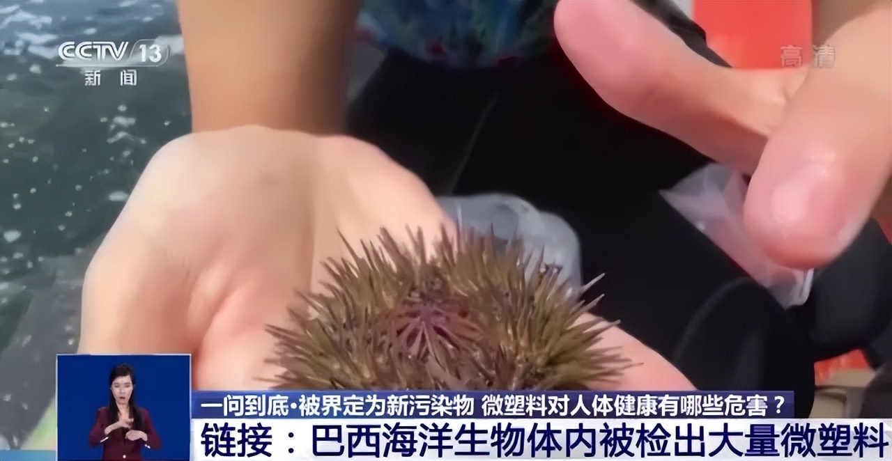 微塑料来源和危害,如何防止微塑料的危害