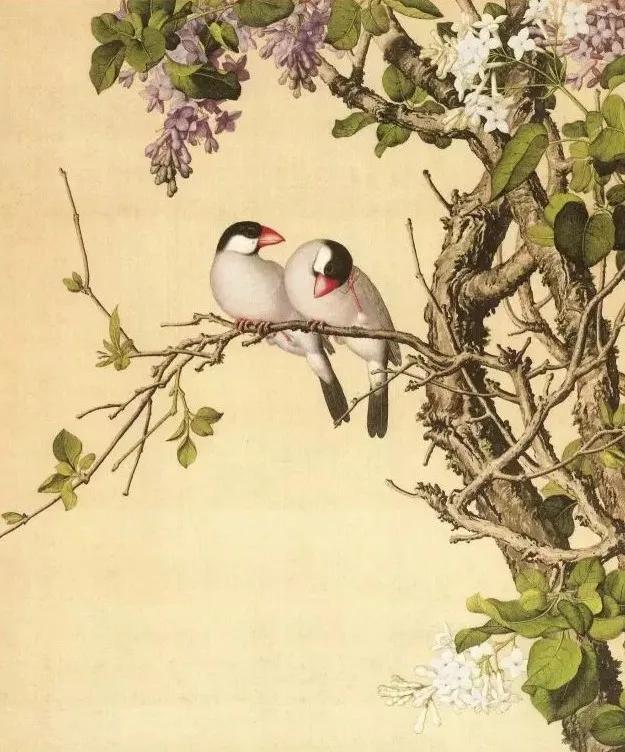 清代九大名家花鸟册页欣赏,清朝九大名家花鸟山水图