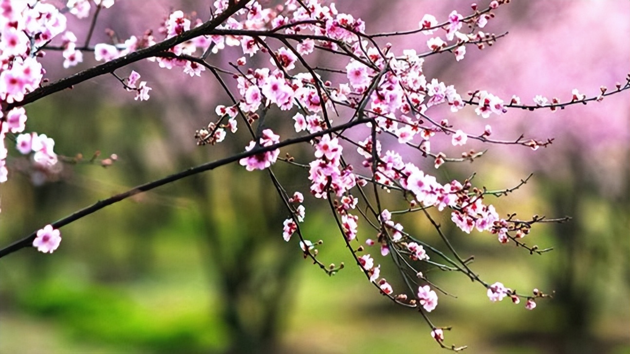 经典惊蛰诗句大全,七绝惊蛰新韵的诗