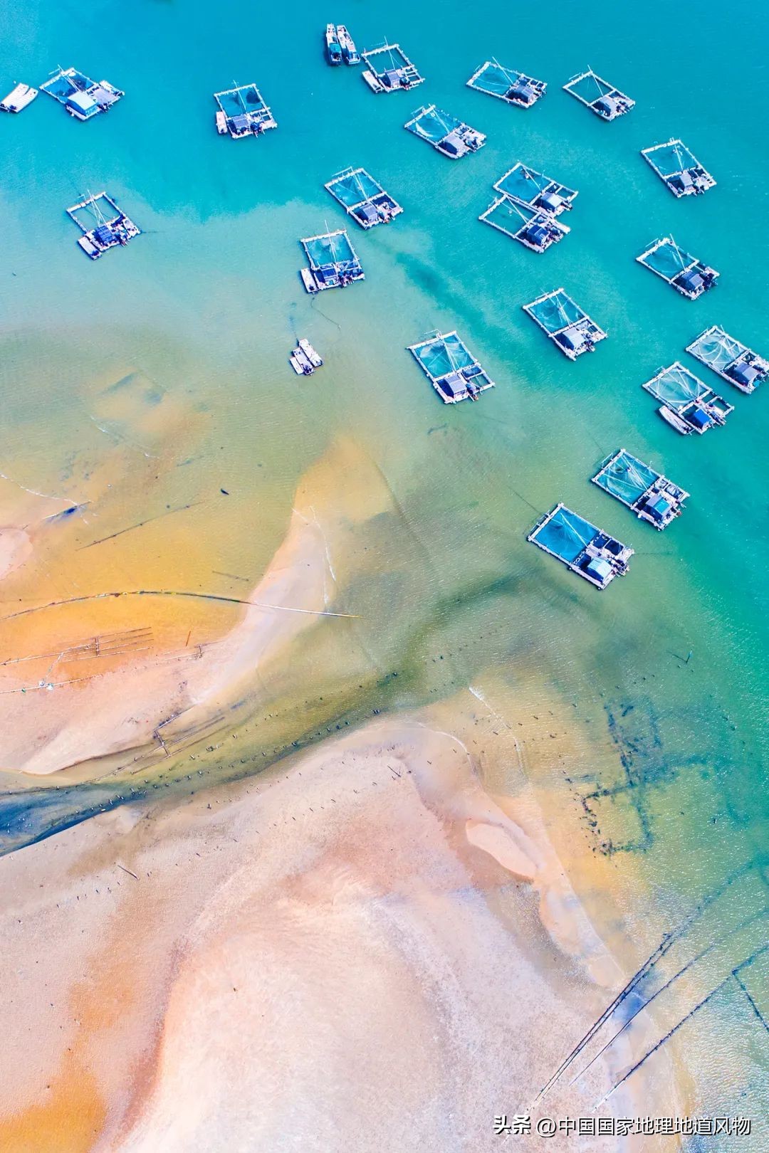 现在的海鲜什么比较好吃,中国哪的海鲜比较好