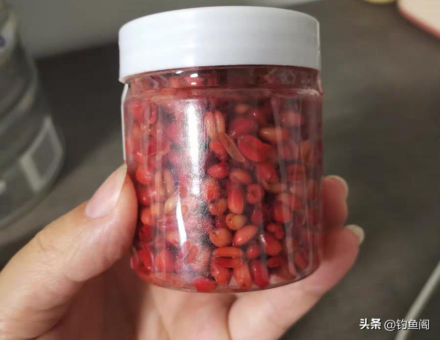 麦粒能钓到鲫鱼吗,为什么用饵料钓不到鲫鱼