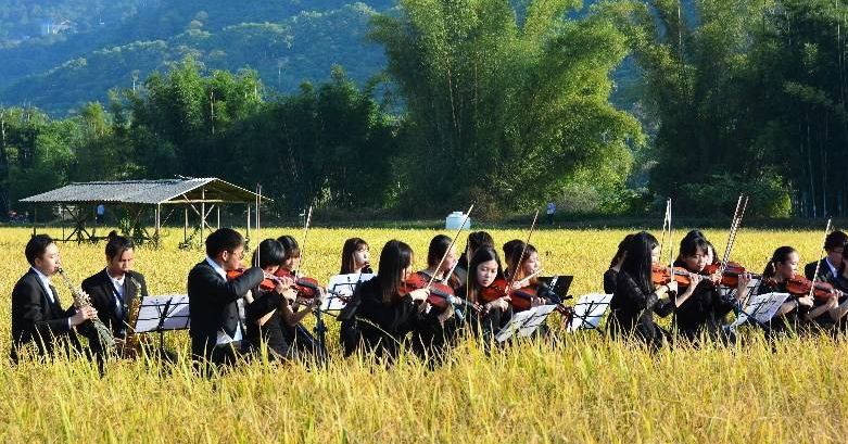 如何规划经营百亩农场才能更赚钱,共享农场模式1.9亩收入20万