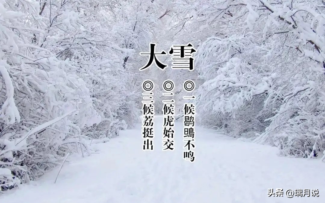 最新有关雪的诗句,关于雪的古诗词经典名句