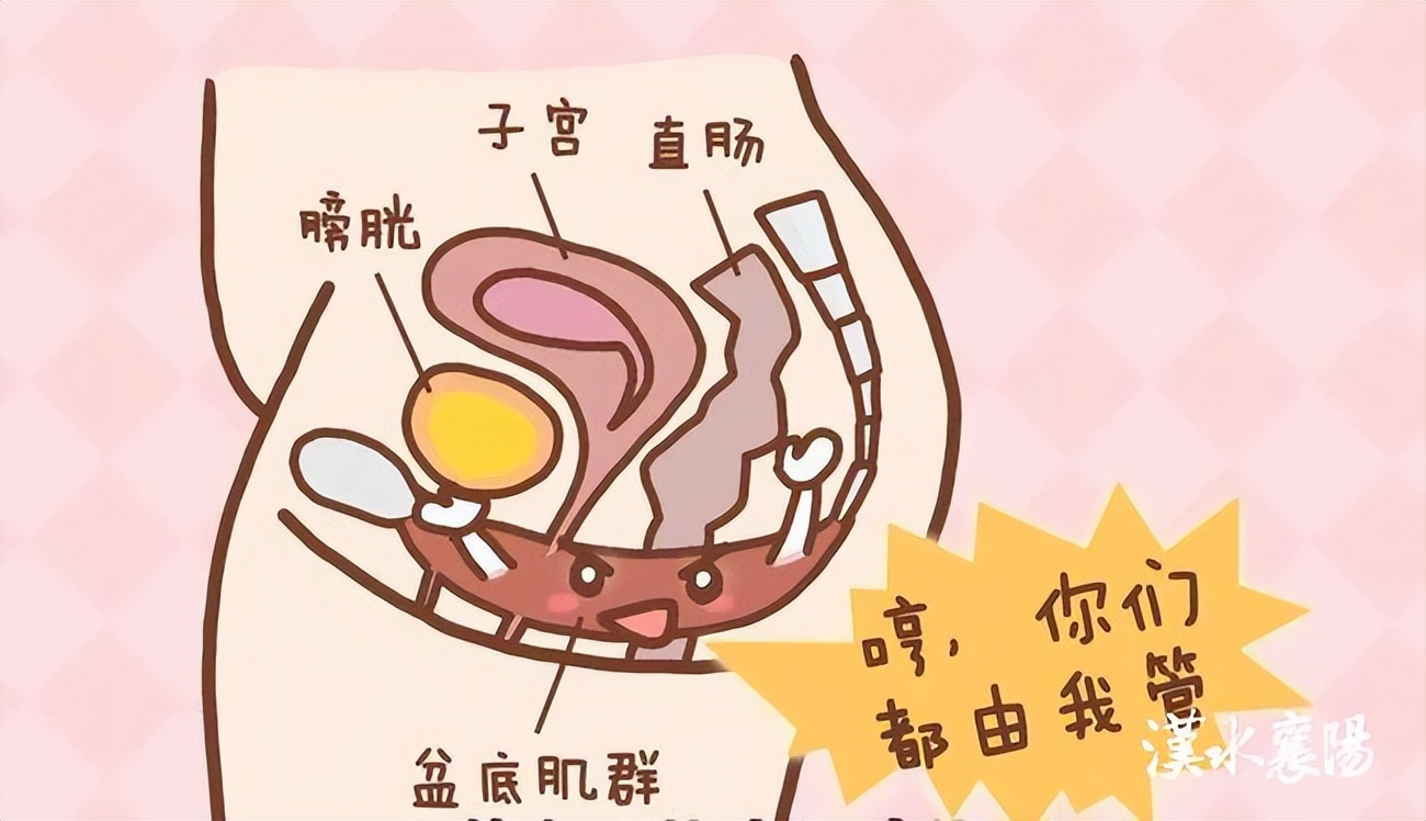 第1健康丨守住宝妈们的“聚宝盆”