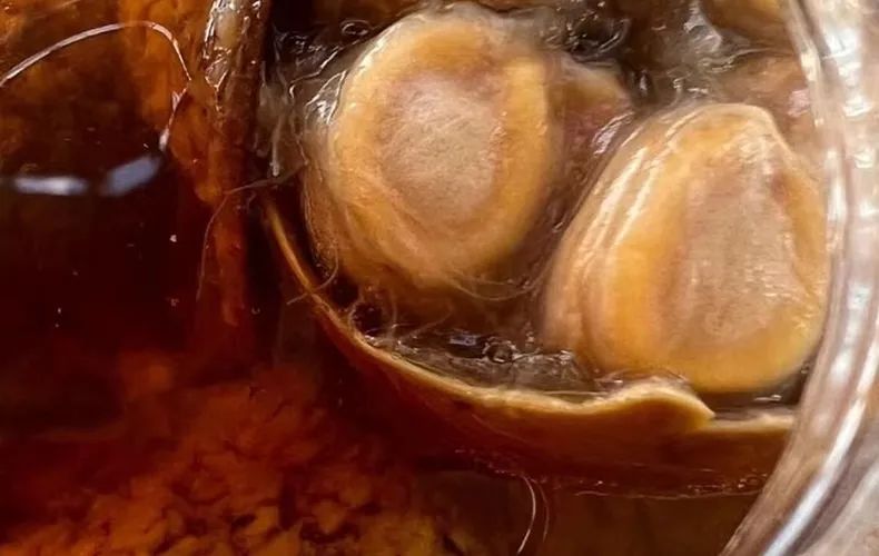 羊咳嗽止咳食物有哪些呢,羊吃什么止咳化痰