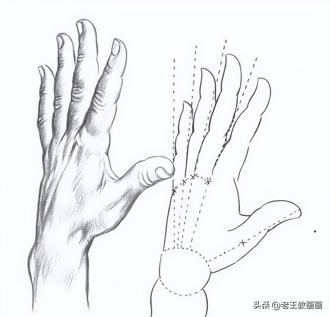 素描基础入门初学者,素描初学者入门教程零基础