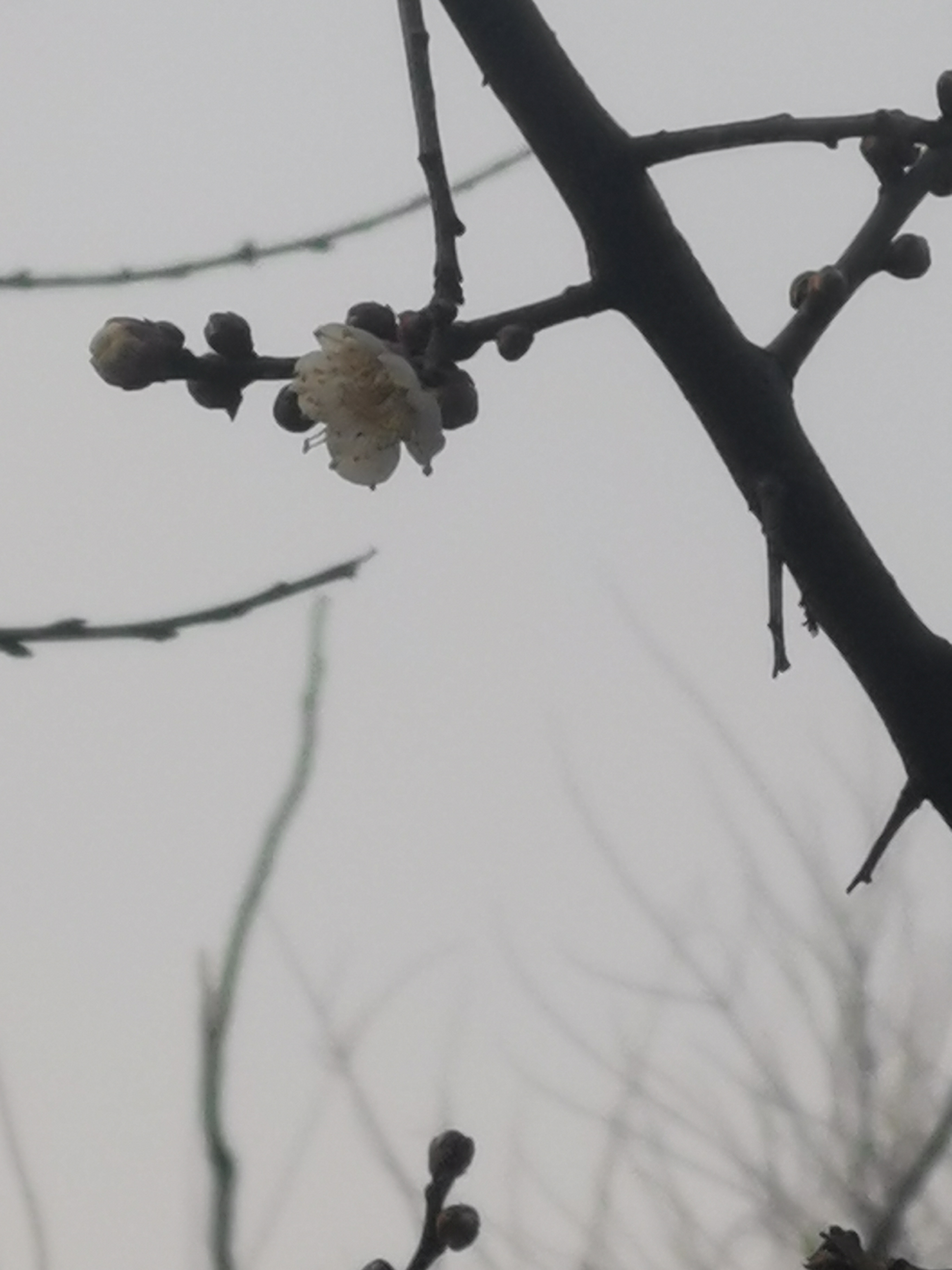 刑法第302条的内容是什么,刑诉法302条规定