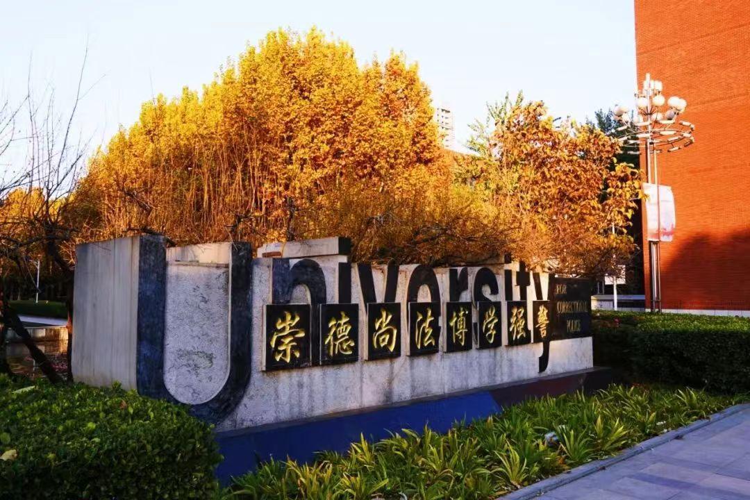 毕业想考公能找工作吗,毕业想轻松就业考哪些证