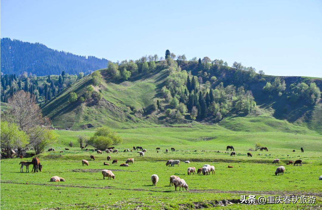 泰酷辣旅游穿搭,泰酷辣旅游卡点