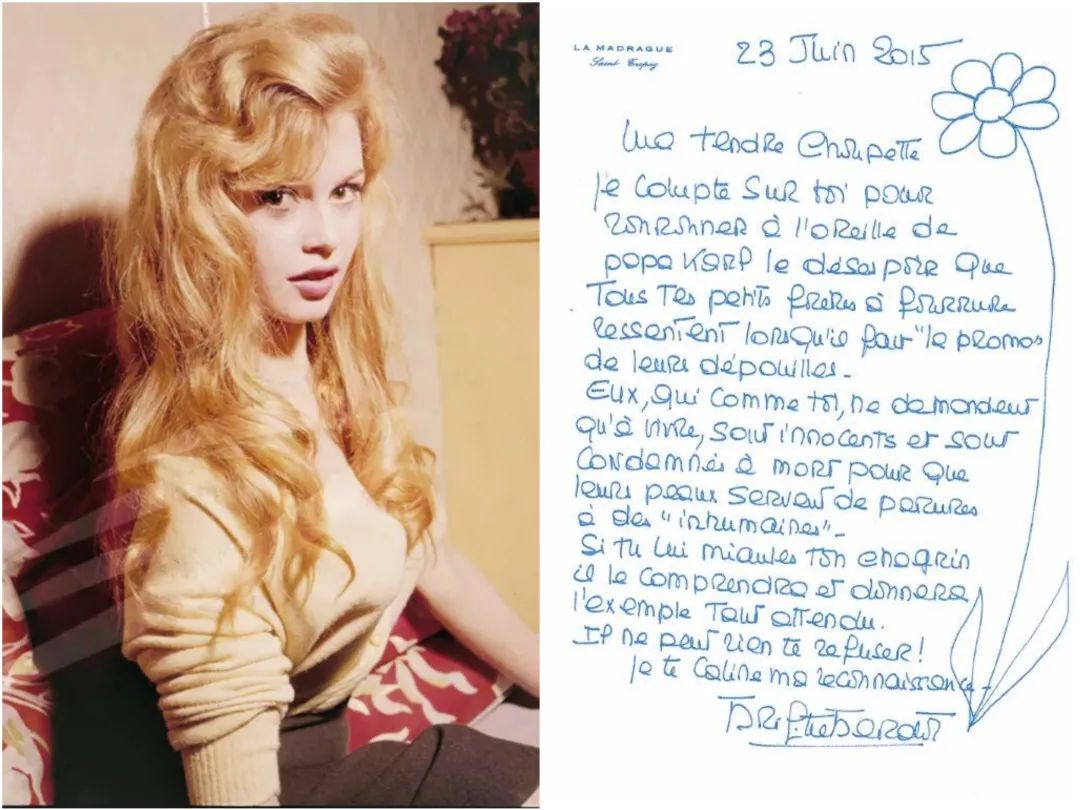 刘雯邓文迪,邓文迪杨紫琼