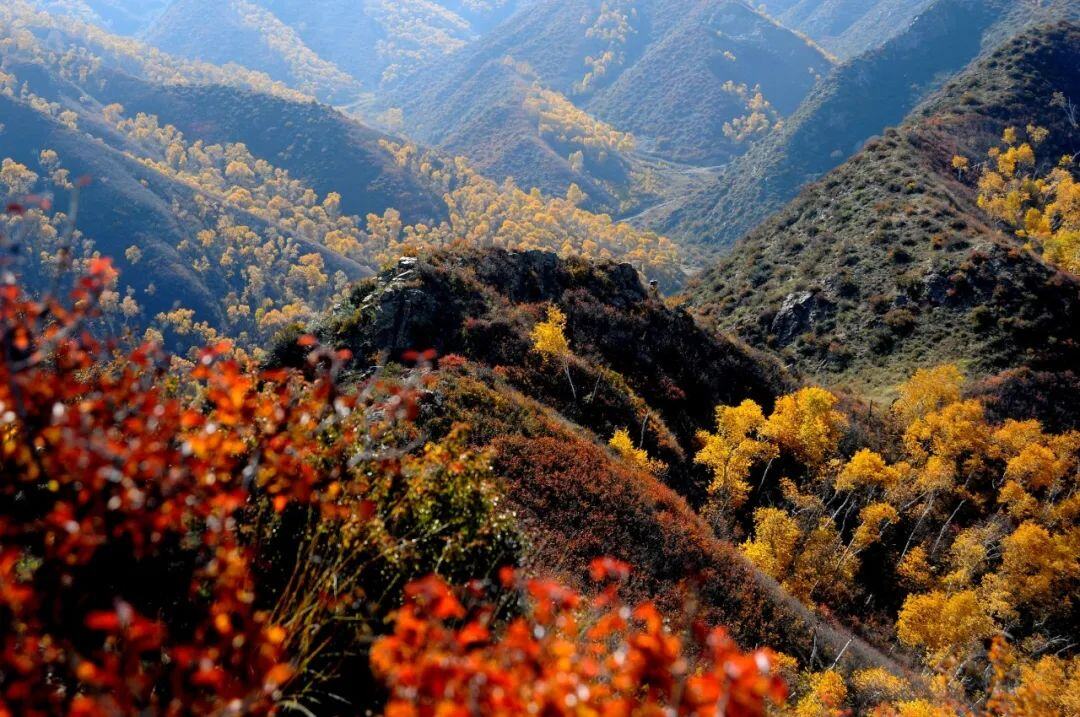 周边农家乐一日游包头,包头周边一日游自驾游景点