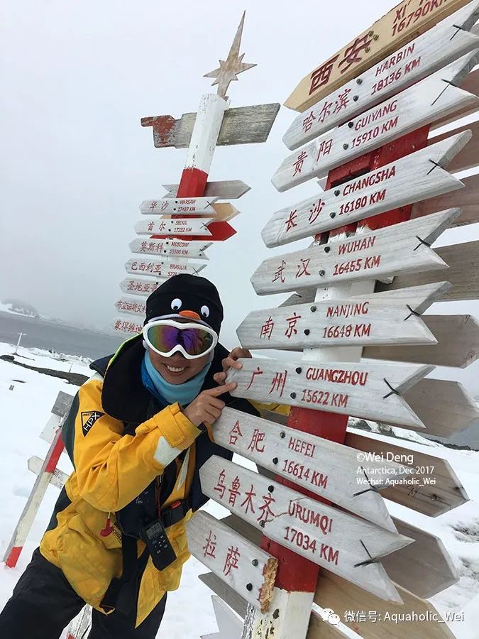 我在南极养企鹅,我在南极的日子