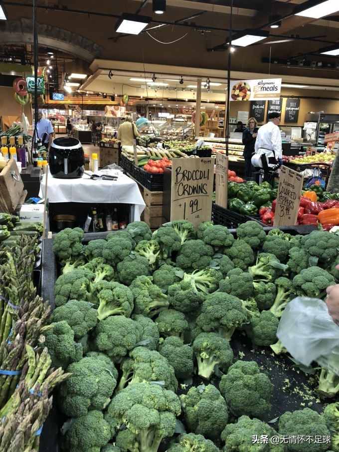 美国纽约东部游介绍,美国东部旅游感受