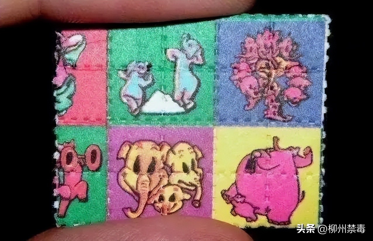 315打假的东西扔哪里了,315打假得物是真的吗