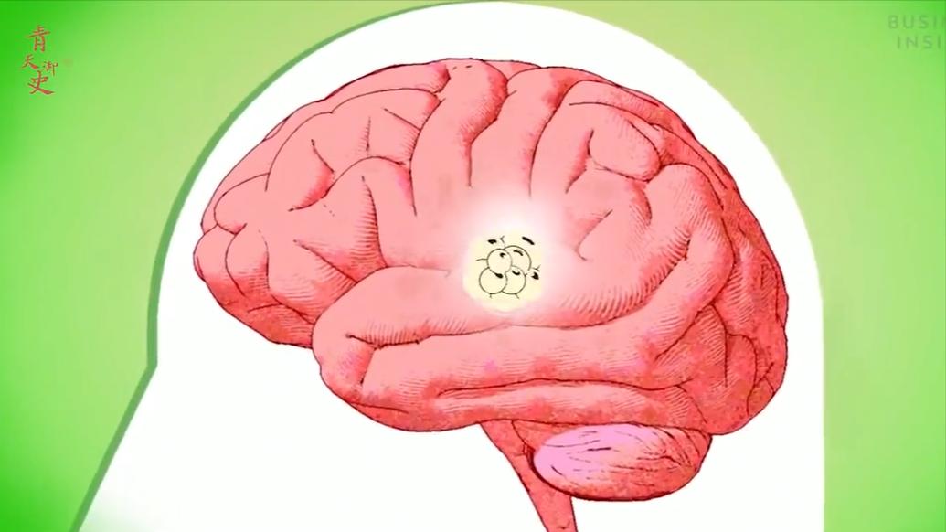 盘点十种神奇动物的价格,盘点五种有巨毒的生物