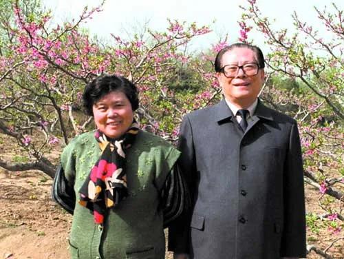 江*民泽**的两位贵人：一位是夫人*冶坪王**，一位是亦师亦友的汪道涵