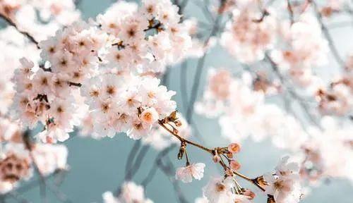 怎么对付冷漠无情的人,怎么化解自己的冷漠