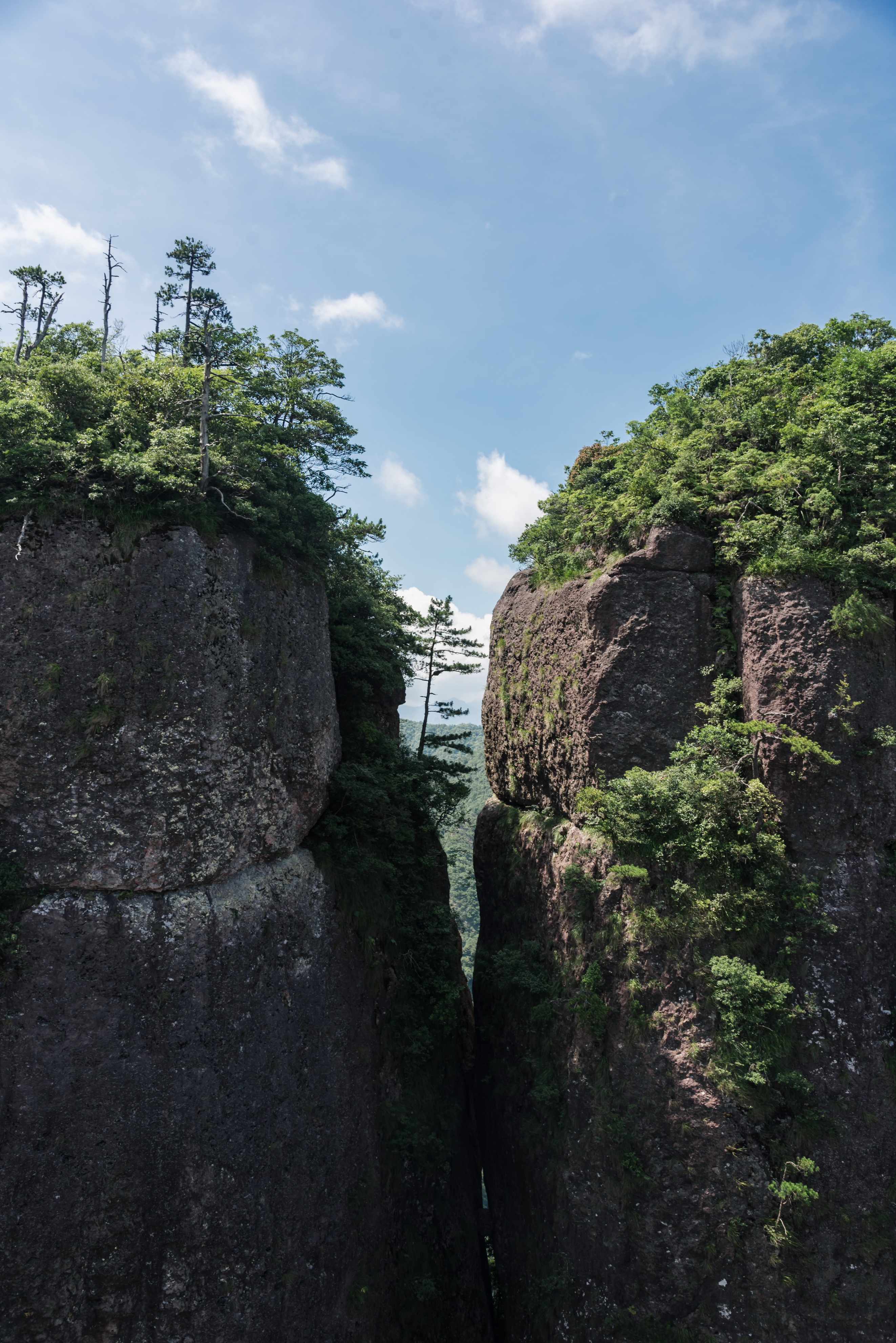 仙居杨梅仙人居住的地方,浙江仙居果然是神仙居住的地方