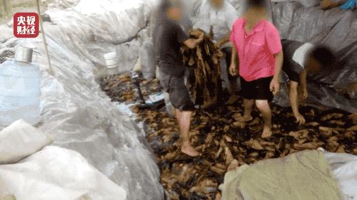 315大曝光图解,315令人发指的真实事件有哪些