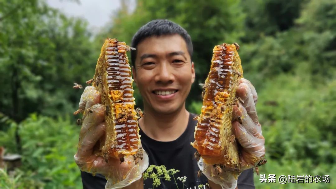 盘点市面五种常见蜂巢