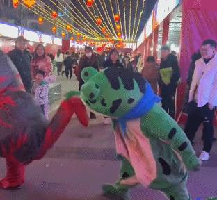 16岁卖青蛙,创业摆摊卖青蛙