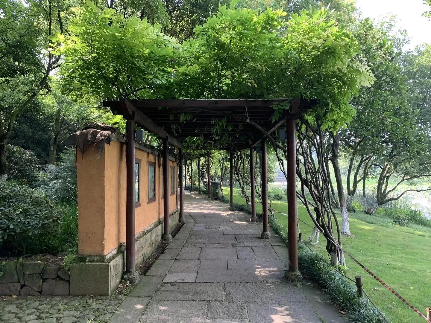 杭州八卦田遗址规划,杭州八卦田遗址公园有什么可以玩