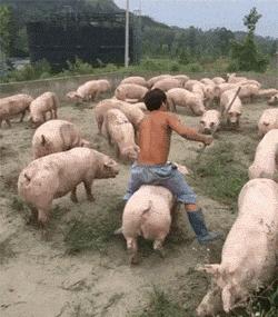 在沙发上妹子用这样的眼神看着你，你怎么做？「囧图时刻」