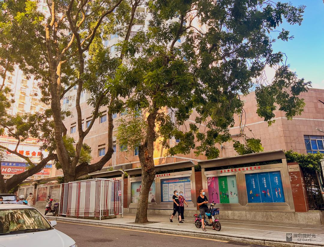 黄贝岭简介,广州黄贝岭