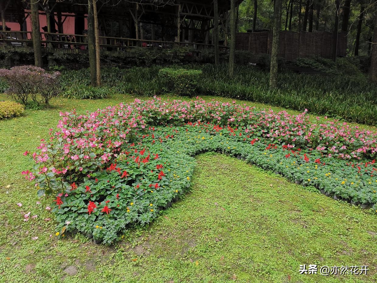 信息简报的写作技巧是什么呢,公文简报写作基础知识大全