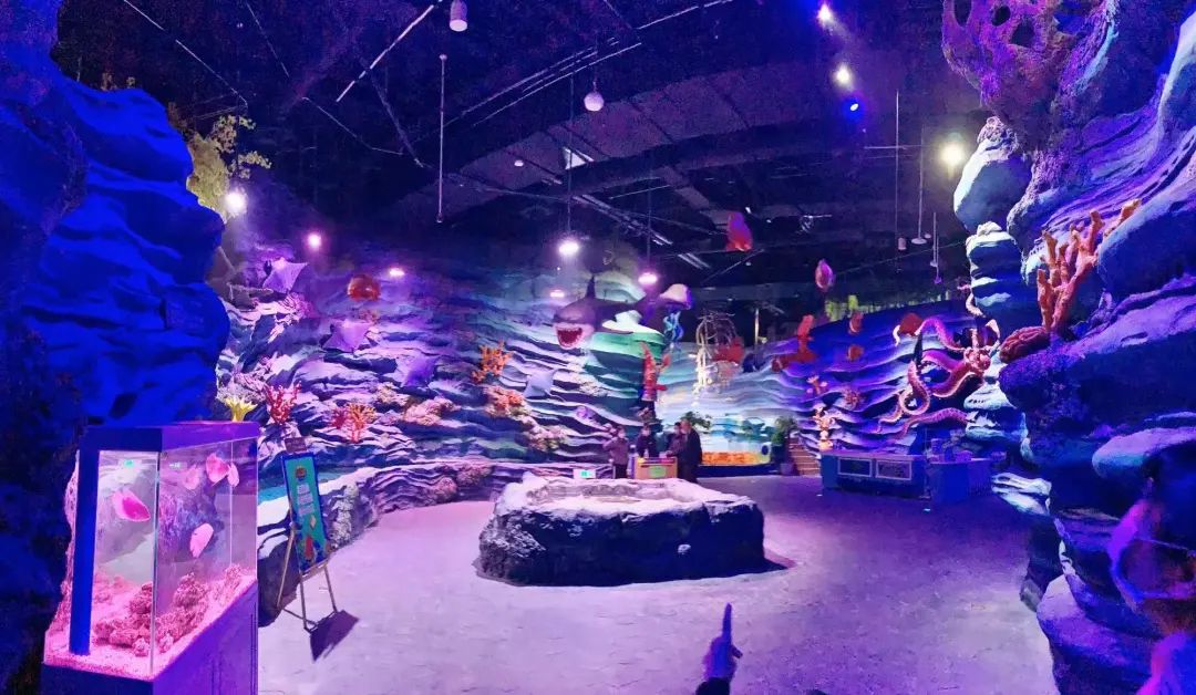 畅游海底世界活动,北京半日游海底世界