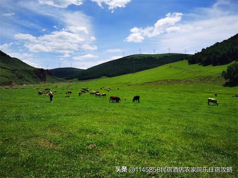 承德丰宁大滩住宿,丰宁大滩坝上草原民宿