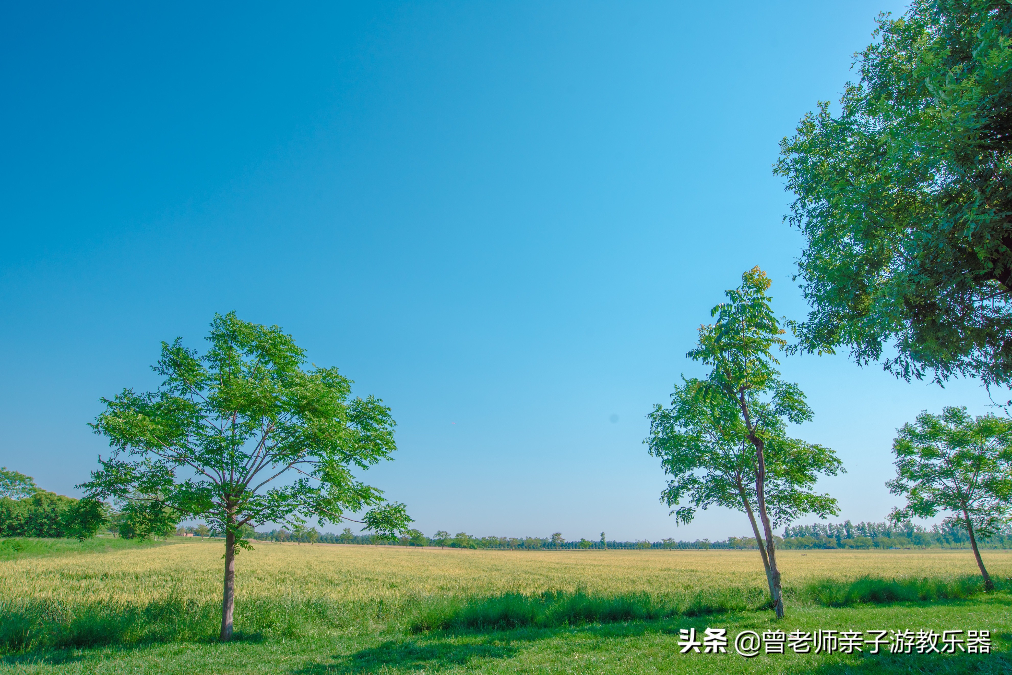 汉长安城未央宫遗址公园露营电话,汉长安城遗址公园露营最新