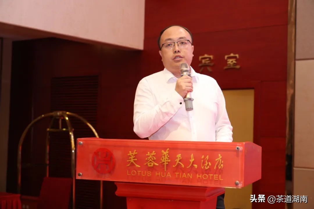 湖南长沙县春茶,2022湖南春茶总结