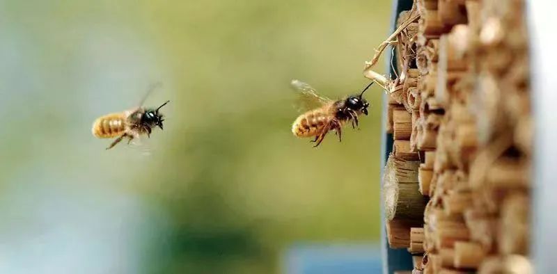 光明适合带孩子去的地方推荐,光明适合带小孩去玩水的地方