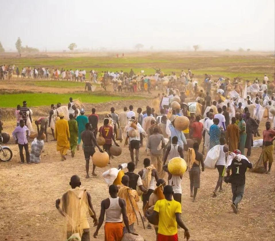 尼日利亚婴儿工厂被曝光,尼日利亚婴儿工厂被捣毁