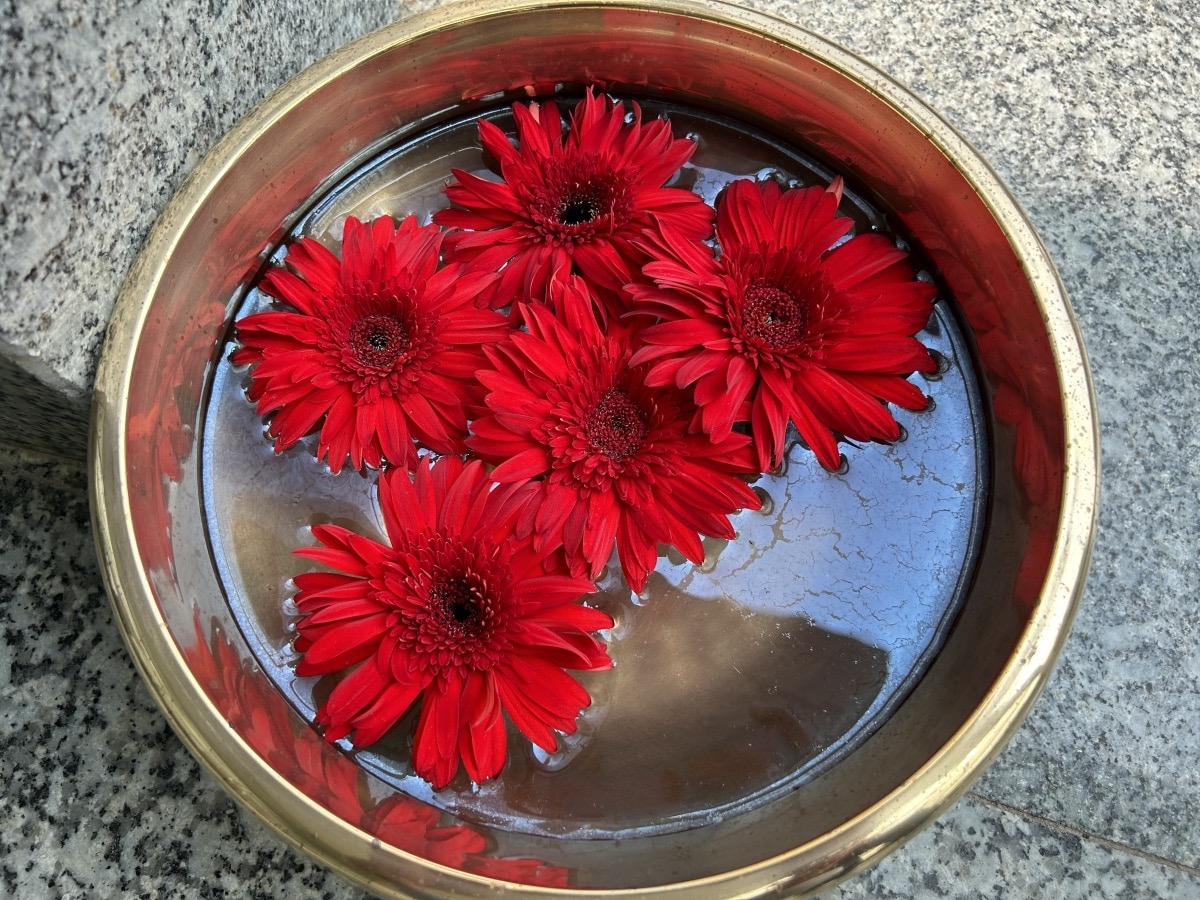 iPhone14到底怎么样？值不值得买？