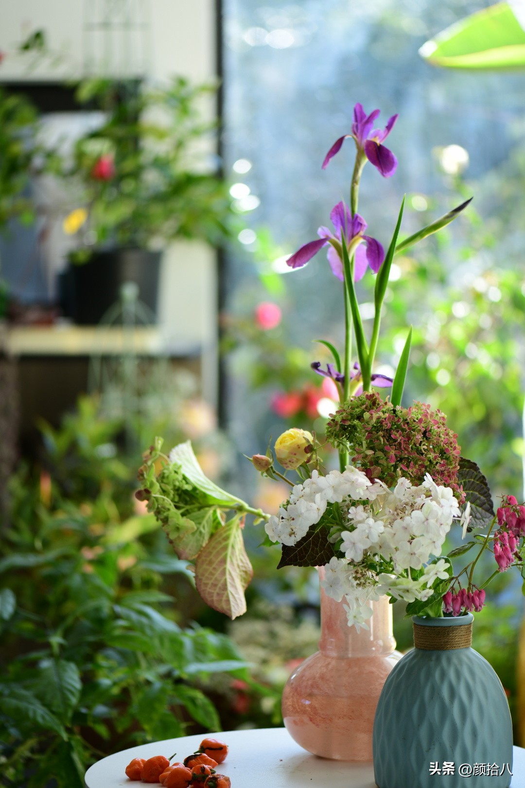 天冷怎么注意植物冻死,植物怕冷怎么过冬