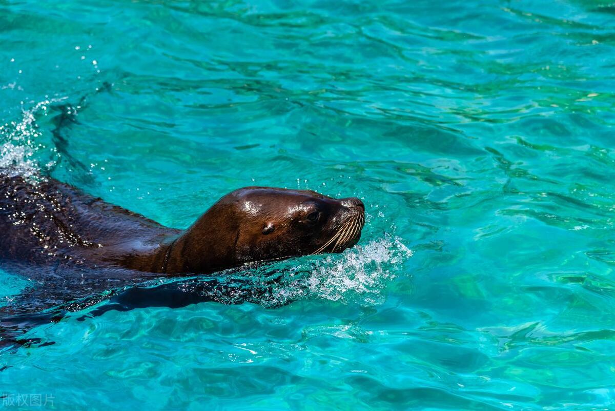 大连最值得去的八大风景图片,大连能看海的地方都有哪些